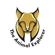 The Animal Explorer