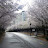 @하이텍-p6h