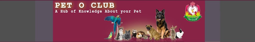 Pet O Club Official यूट्यूब चैनल अवतार