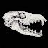 -eZ3JCziJPk-channel-avatar-Junkyard Fox Outdoor Adventures