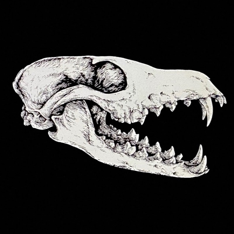 Junkyard Fox Outdoor Adventures