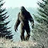 T4Chru9hWoU-channel-avatar-Los Archivos del Bigfoot