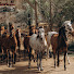 gjocCL300j4-channel-avatar-Behind The Saddle