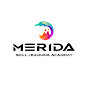 Merida Skill Learning Academy logo