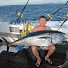 MDPl9vuKJnE-channel-avatar-Mega Fish Channel