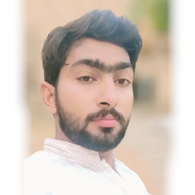 Aamir Rajpoot Aseels