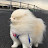 @빛나는인생-s2f