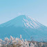 6SAH4huR3wY-channel-avatar-Moi's Japan Travel Lab
