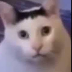 本能寺が変