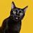 youtube avatar