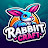 @Rabbit_craft.