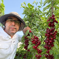 SHUHRAT ABROROV