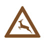 Wildlife Majesty logo