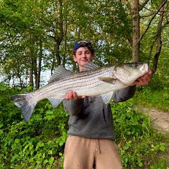 Catchin’ Dream Fish