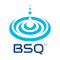 BSQ STORE logo