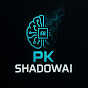 PK Shadow
AI logo