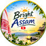 dwX_uyBP9jY-channel-avatar-bright Assam 