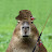 @Capybara_-_