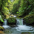 lWgnNc9XzYc-channel-avatar-pakem of nature