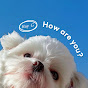1wCh_u-68bs-channel-avatar-Hay G