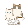 「ととねこ」猫と、ととのう暮らし。