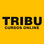TRIBU CURSOS ONLINE