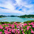 Amazing Island-Korea