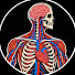 GG8KLPZif7g-channel-avatar-Why Bodies Break Down
