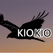 Sim Pilot KIO KIO