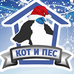Логотип каналу АНО Кот и Пес г Димитровград 