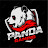 Panda_plays