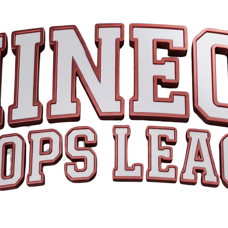 902 Hoops League