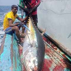 FISH ON CHANNEL SHAHINARMAAN