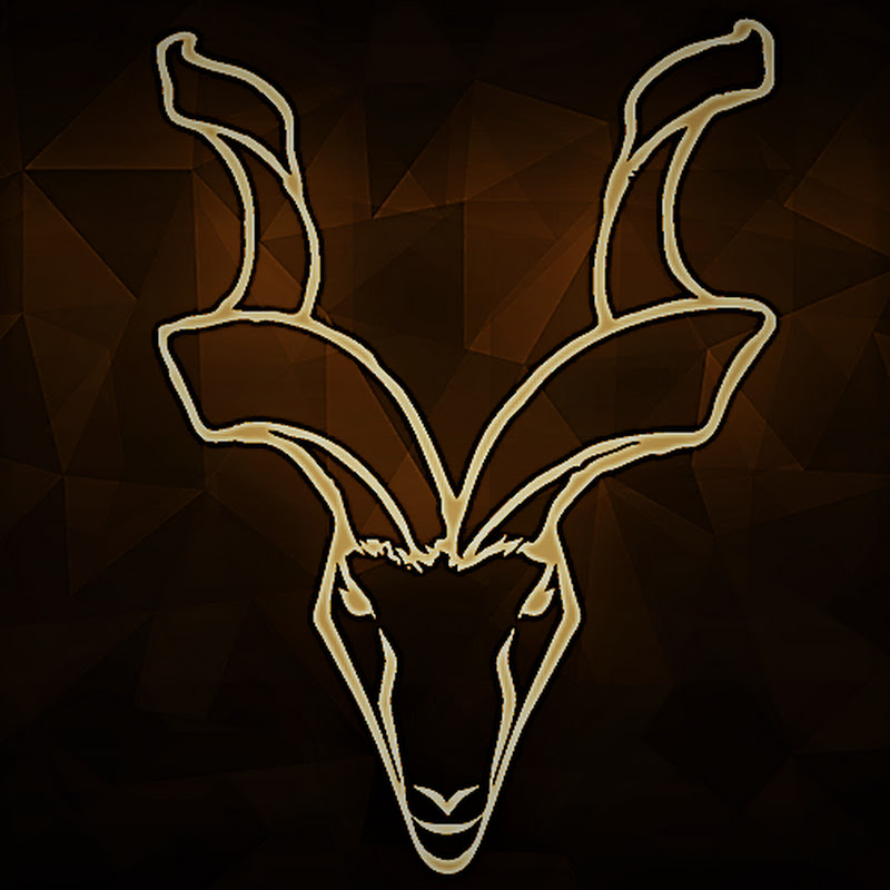 Cyber Security Ranger