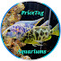BESOtjOquro-channel-avatar-PriceTag Aquariums