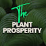 Ca_27KF67Rw-channel-avatar-The Plant Prosperity 