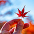yDGeUfPt-z0-channel-avatar-お写歩 Photo walk