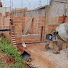 rh-aLBFaFUE-channel-avatar-Aprenda Construção na Prática.