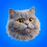 tigbPVc3bfM-channel-avatar-Cat Cognition