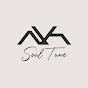 NH Soul Tune Avatar