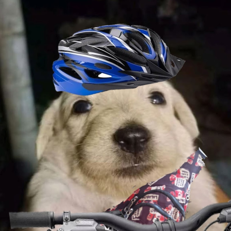 Bici Barata pero Brava icon