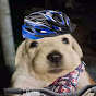 Bici Barata pero Brava