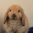 @Marie-n4o9c