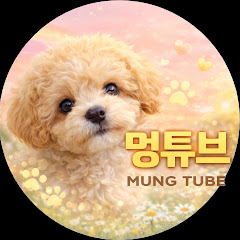 멍튜브 mungtube
