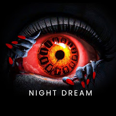 Night Dream Story avatar