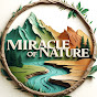 Miracle of nature logo