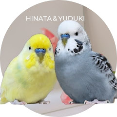 ひなたちゃん動画