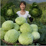 6JZFT0B17Bk-channel-avatar-My Little Farm