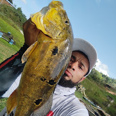 Vem De Pesca