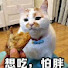 eB4DxlfwFRk-channel-avatar-六一爱吃鱼
